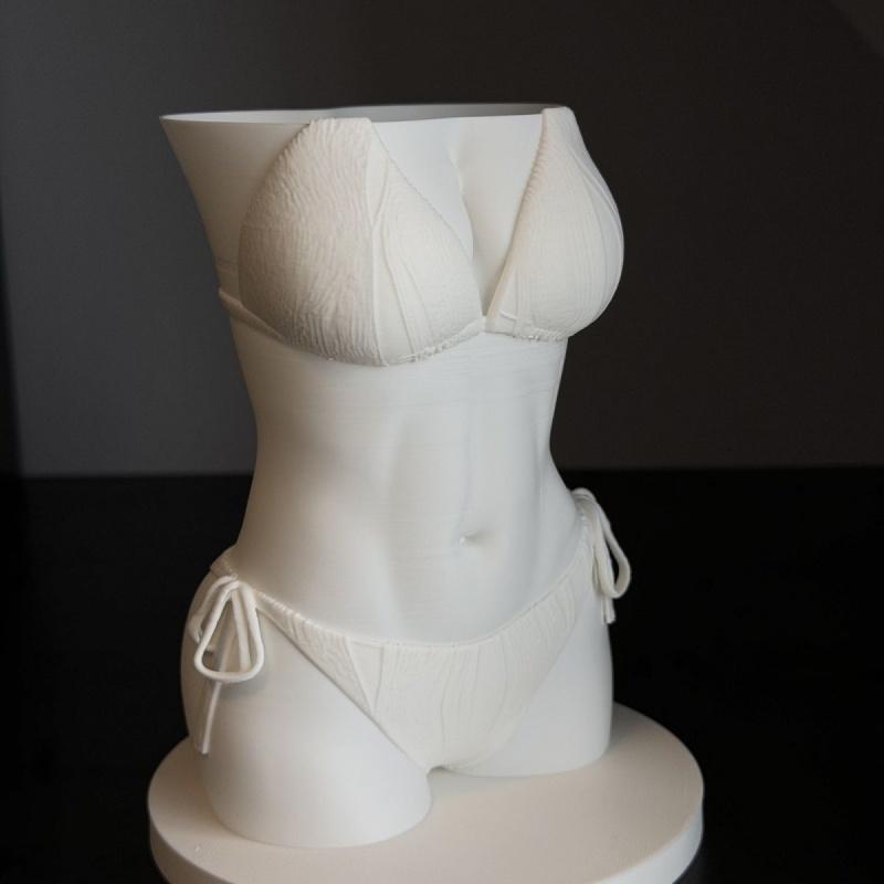 NEW Bikini Body Pen Holder 3D  - 3D Printing Pot ulasan dan harga