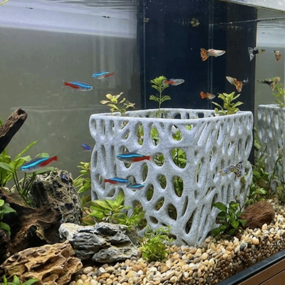 3D Printed Aquarium Planter Po - 3D Printing Pot ulasan dan harga