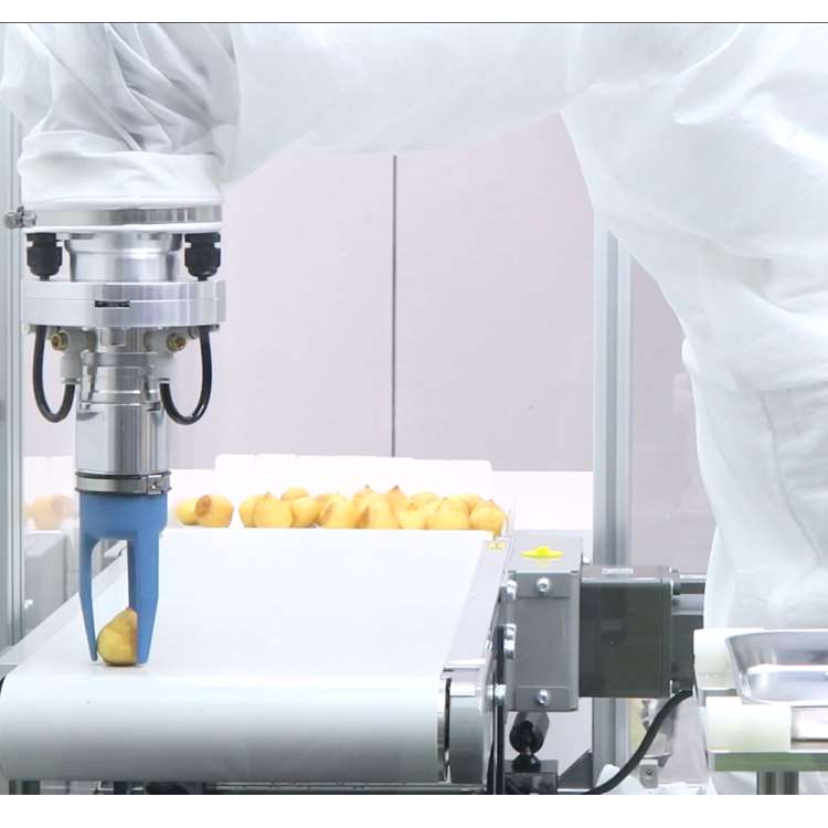6-Axis CNC Robotic Arm with Li - Linear Guide Rail ulasan dan harga
